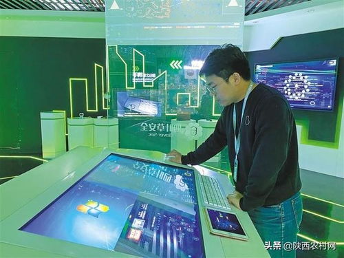 走近高新技術企業四葉草安全 構筑網絡防線，賦能企業技術服務新生態